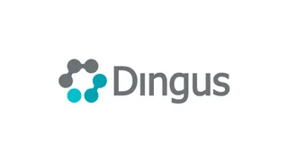 Dingus